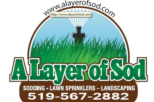 Alayer of Sod